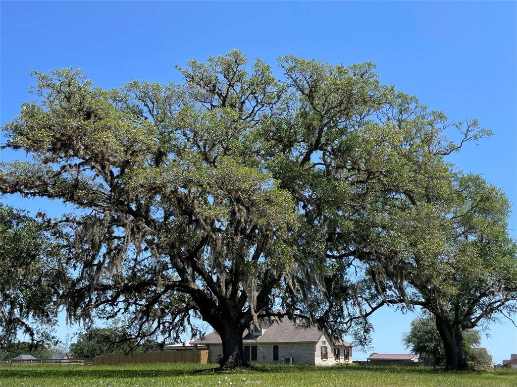 Angleton, TX 77515,1126 Quarter Horse TRL