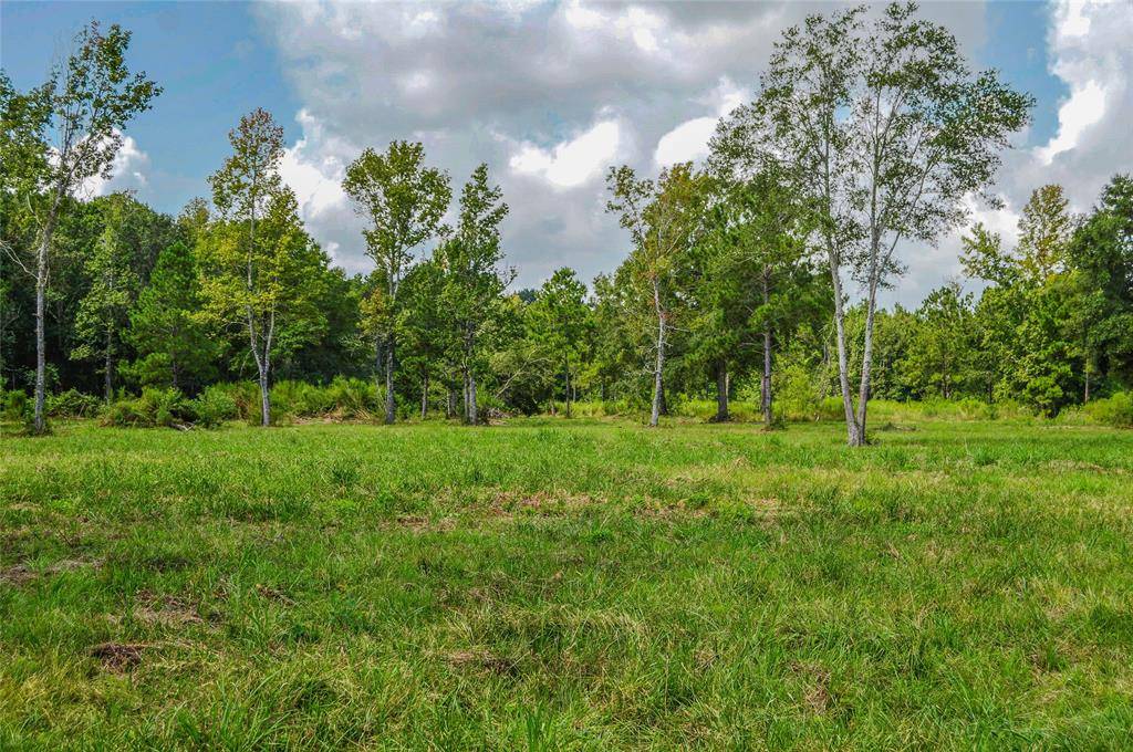 Cleveland, TX 77327,2.24 AC HWY 321