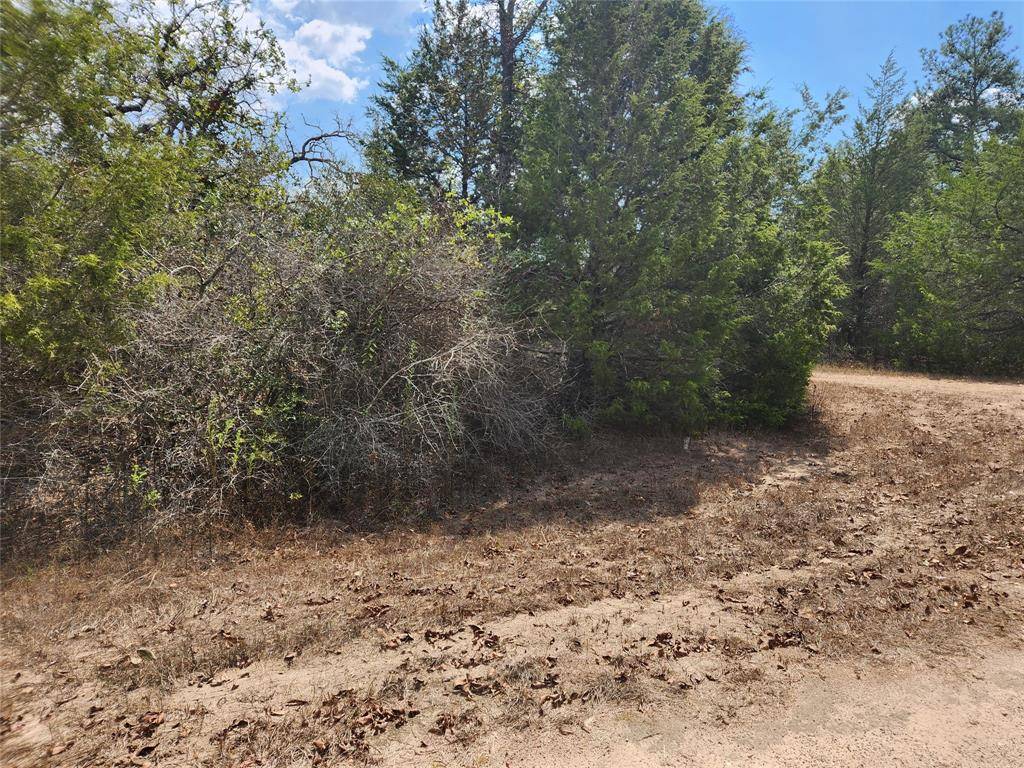 Hempstead, TX 77445,Lot 3 Cottontail DR