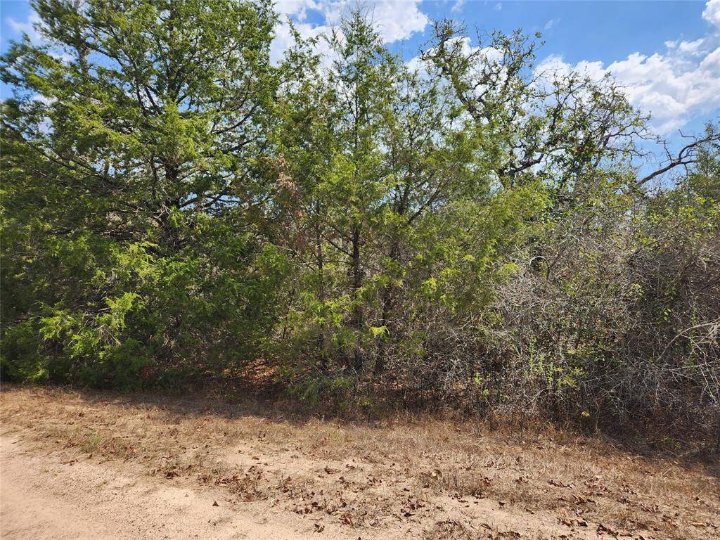 Hempstead, TX 77445,Lot 3 Cottontail DR