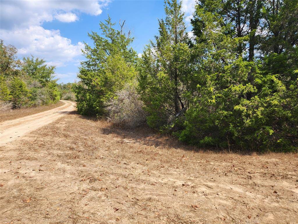 Hempstead, TX 77445,Lot 3 Cottontail DR