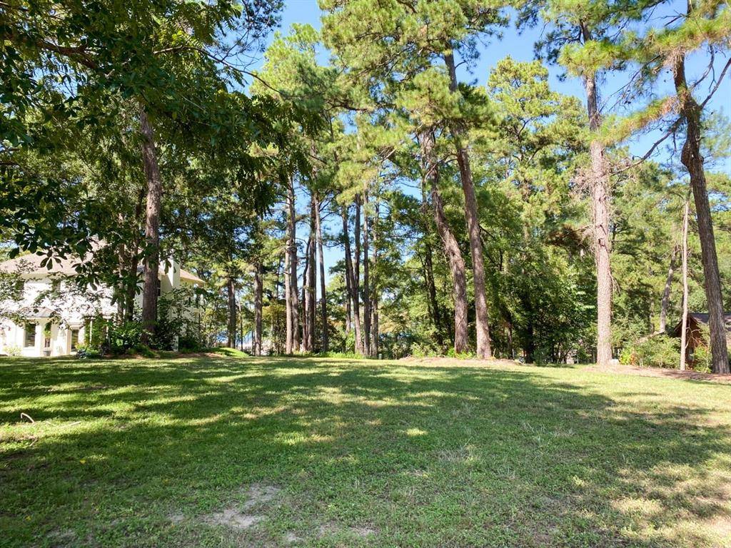 Willis, TX 77318,Lot 184 Newport DR