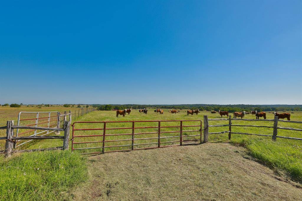 Navasota, TX 77868,Tract #4 CR 305 RD