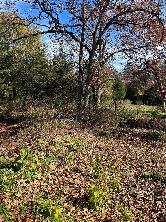 Hilltop Lakes, TX 77871,TBD W Trail LN