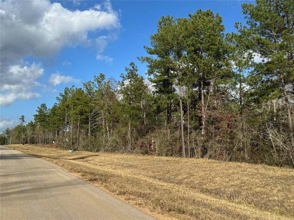 Willis, TX 77378,15676 Forest Knoll RD