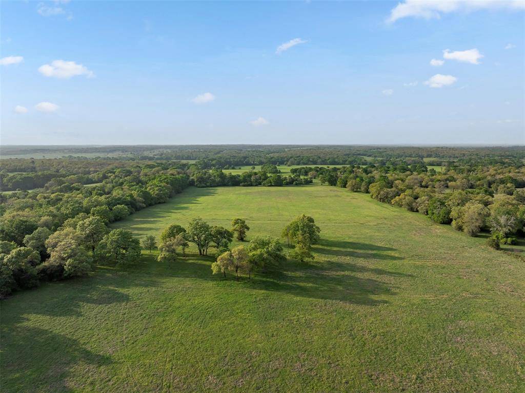 Lexington, TX 78947,1241 County Road 406