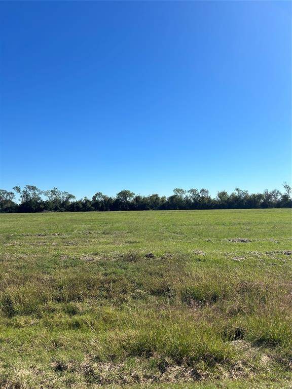 Angleton, TX 77515,000 Brahman TRL