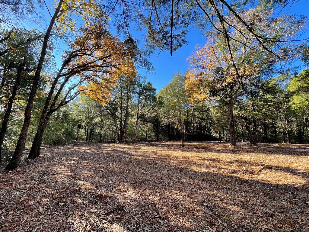 Fairfield, TX 75840,TBD Tract 4 FCR 261