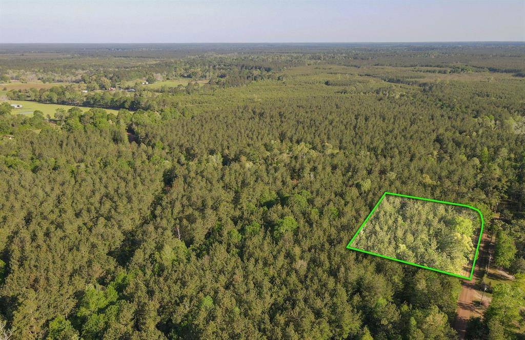 Spurger, TX 77660,TBD County Road 4575