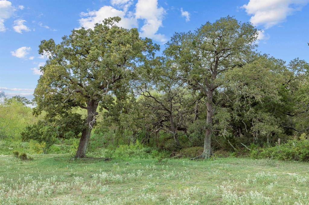 Weimar, TX 78962,TBD Tract 3 CR 201