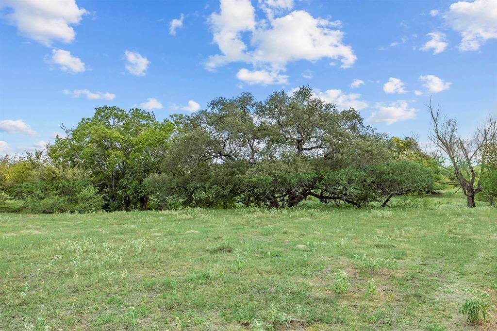 Weimar, TX 78962,TBD Tract 3 CR 201