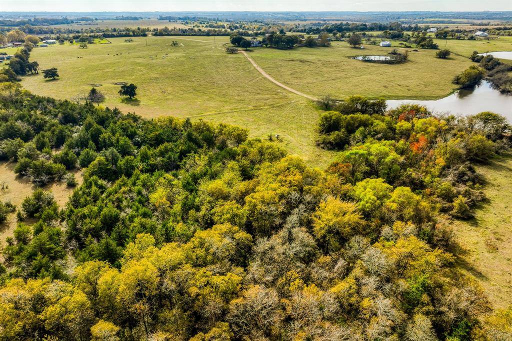 Chappell Hill, TX 77426,6650 Chadwick Hogan Lot 12