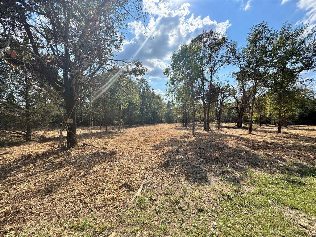 Marquez, TX 77865,Lot 75 & 76 County Road 377