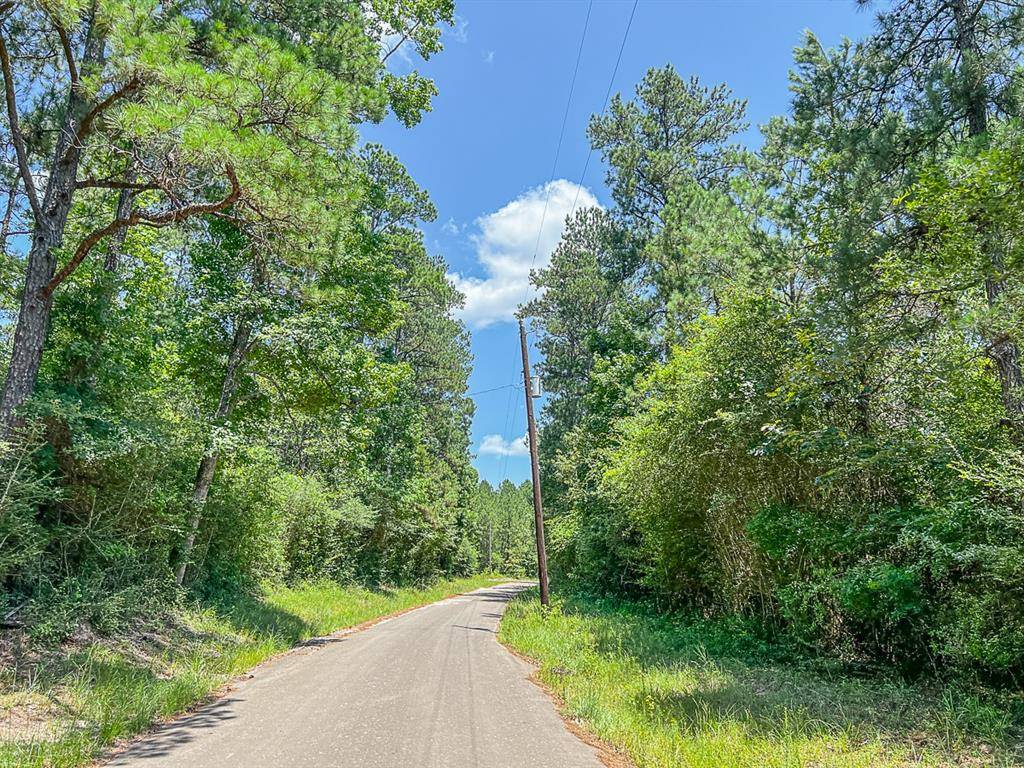 Zavalla, TX 75980,05 CR 364e