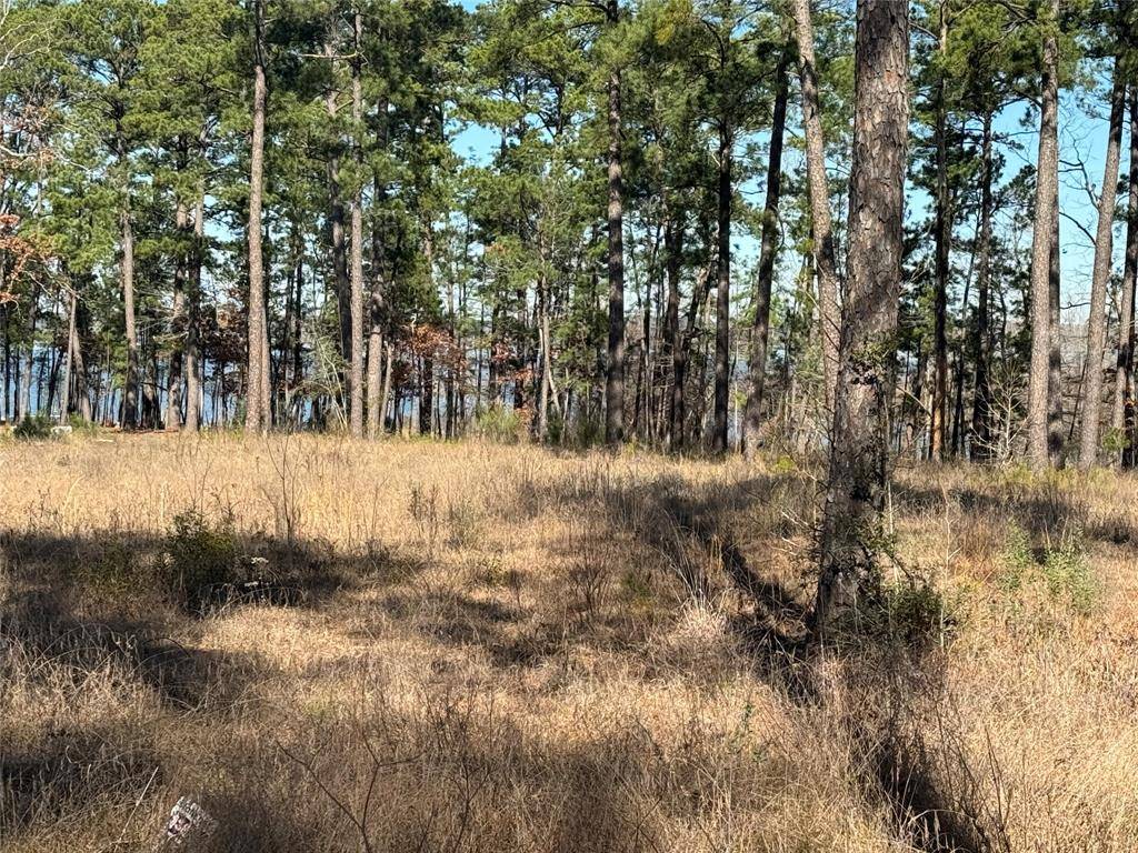 Brookeland, TX 75931,TBD Private Road 6028