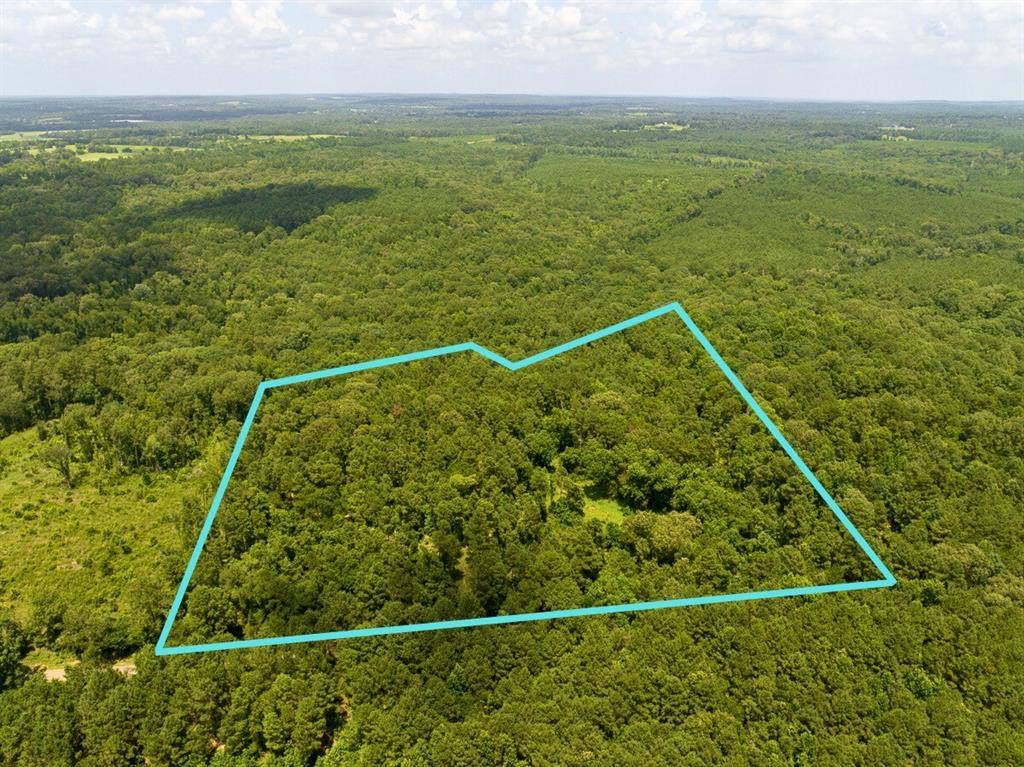 Laneville, TX 75667,0 CR 437