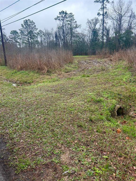 Crosby, TX 77532,703 Little Doe DR