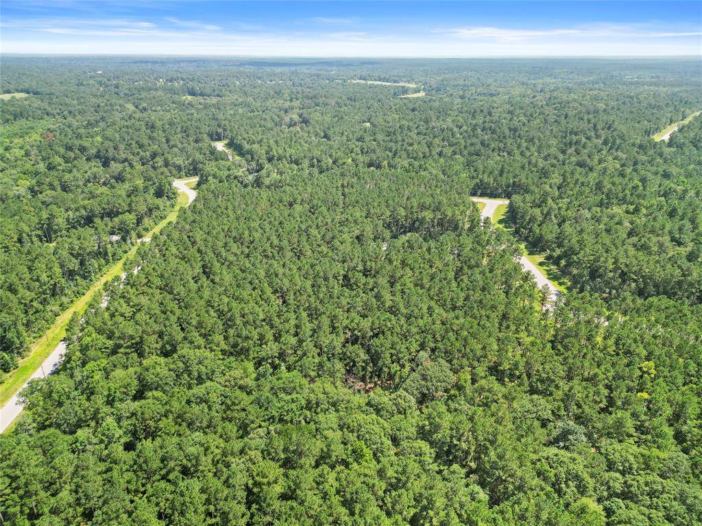 Huntsville, TX 77358,Lot 77 Wagon Pass DR