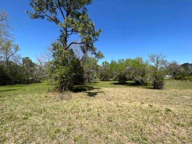 Coldspring, TX 77331,Lots 225 & 226 Scenic Woods DR