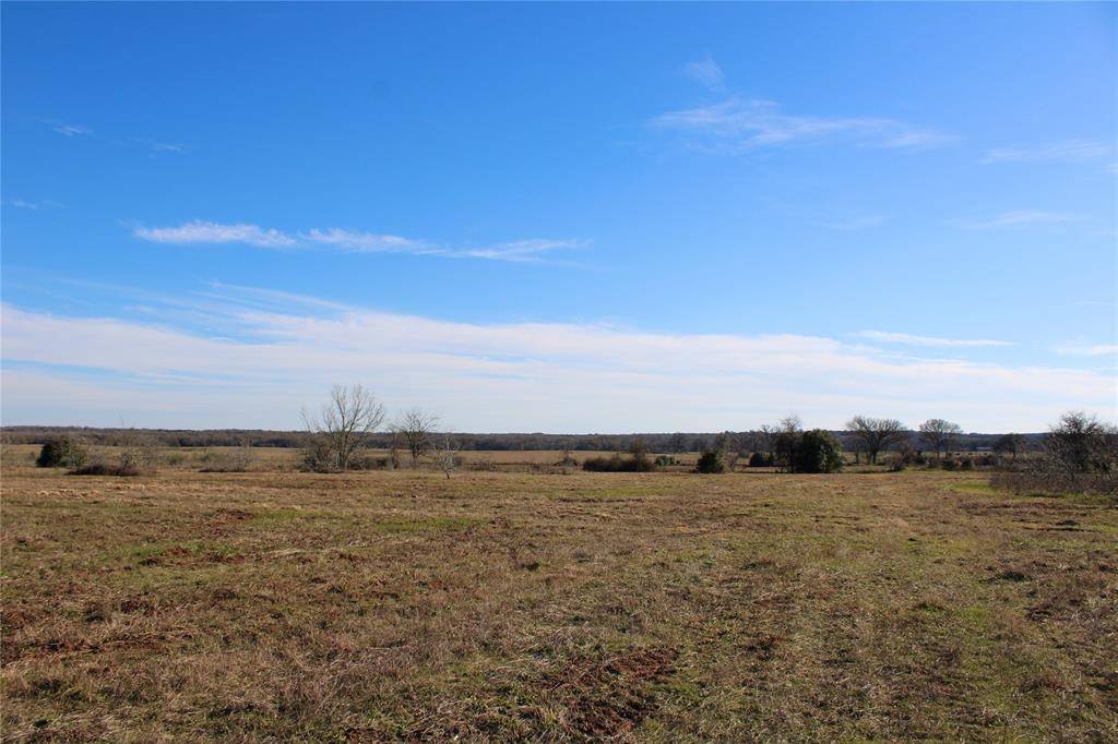 Lexington, TX 78947,1206 PR 2205 CR 412