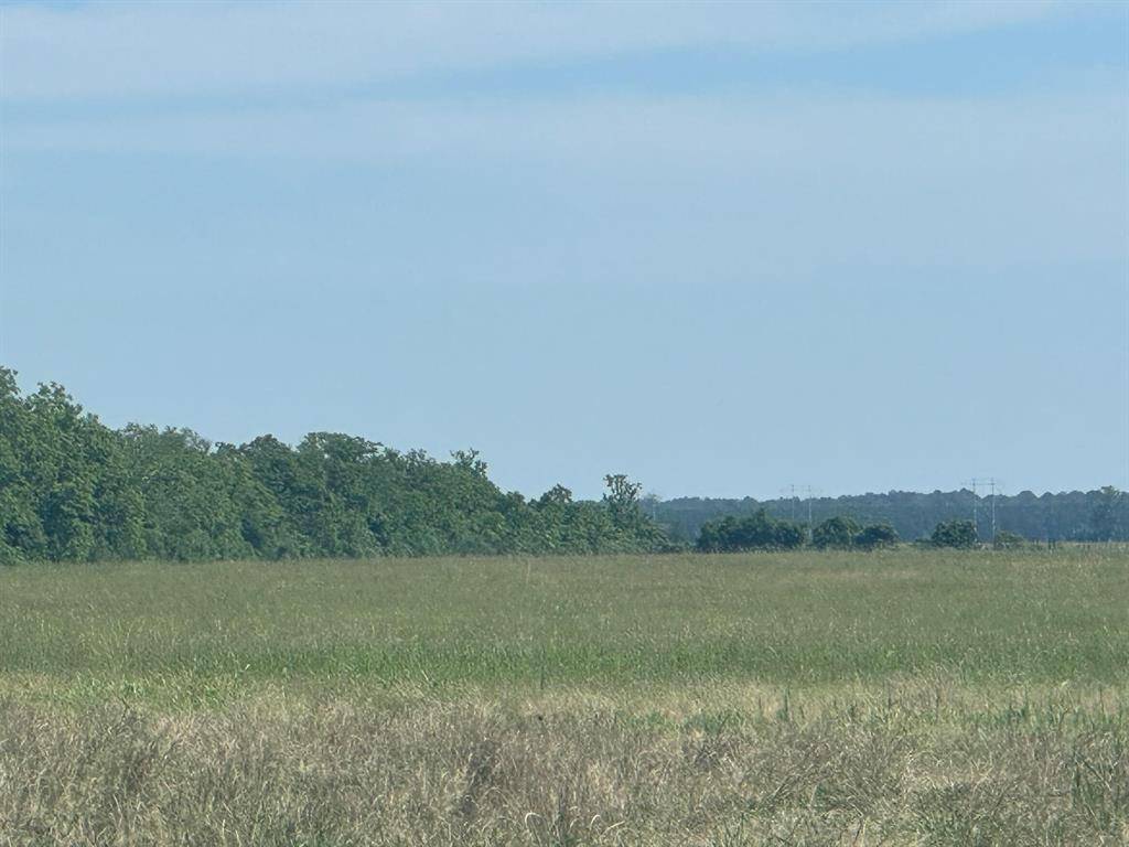 Beaumont, TX 77713,0 Smart Dairy LN