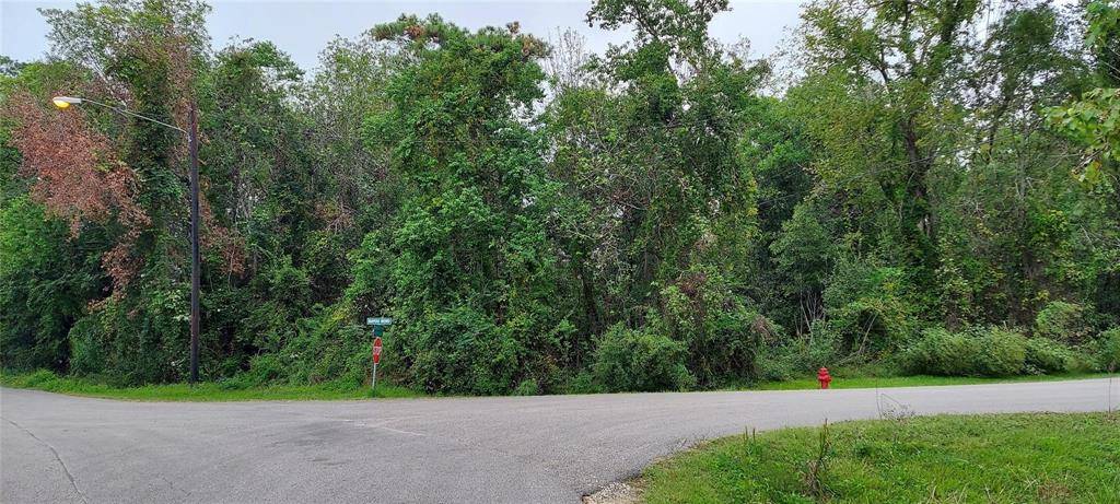 Orange, TX 77630,9 Bayou Bend