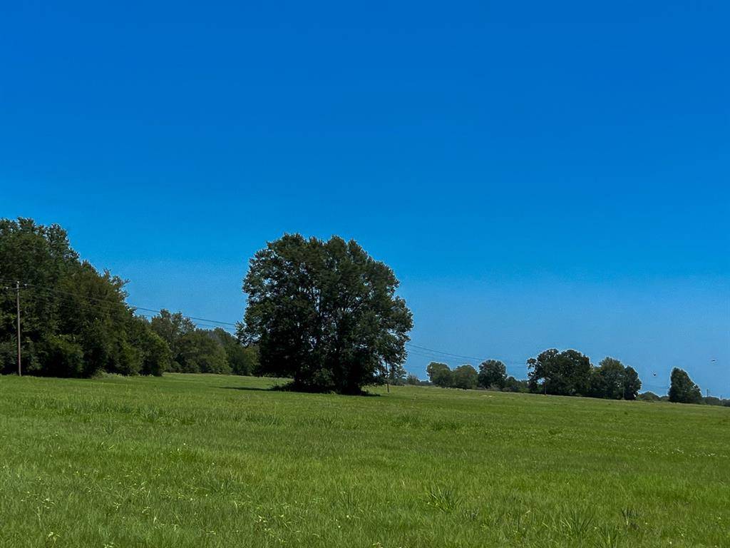 Lovelady, TX 75851,17 County Road 3630