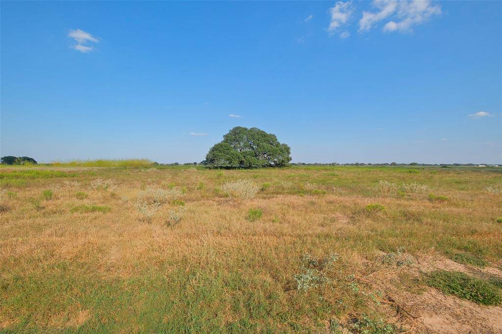 Columbus, TX 78934,Lot 102 Pintail LN