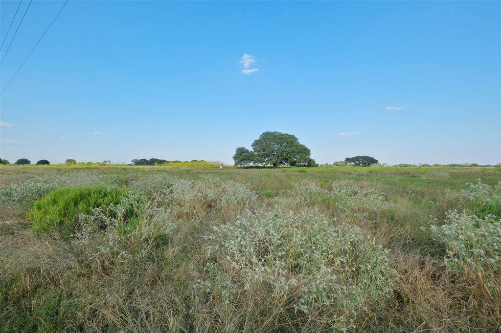 Columbus, TX 78934,Lot 102 Pintail LN