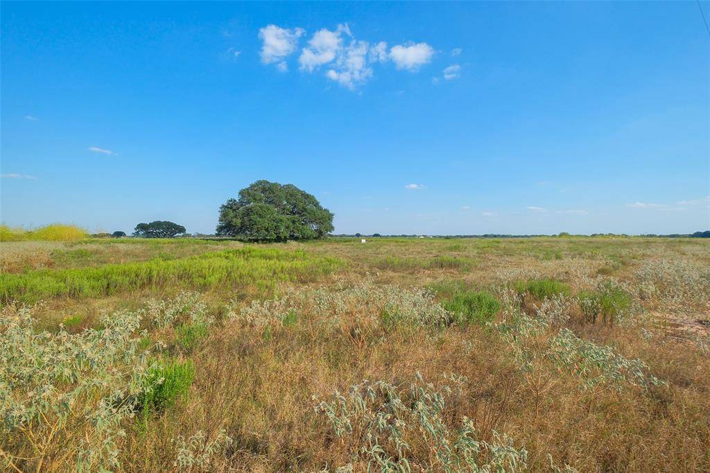 Columbus, TX 78934,Lot 102 Pintail LN