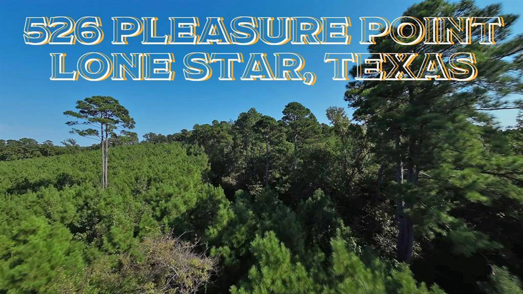 Lone Star, TX 75668,526 Pleasure Point