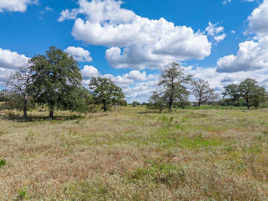 New Ulm, TX 78950,TBD Mill Creek Ranch Road