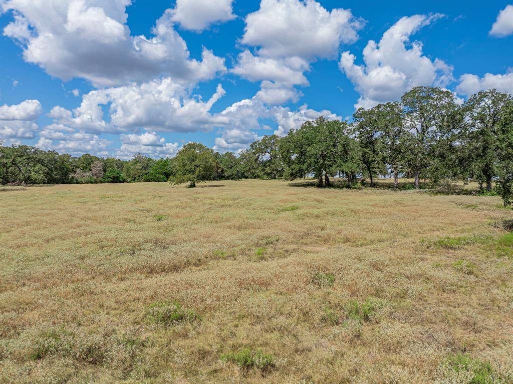 New Ulm, TX 78950,TBD Mill Creek Ranch Road