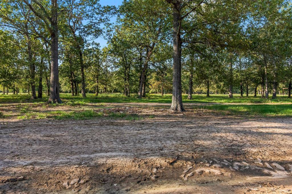 New Waverly, TX 77358,Lot 4 Alans Memorial Lane