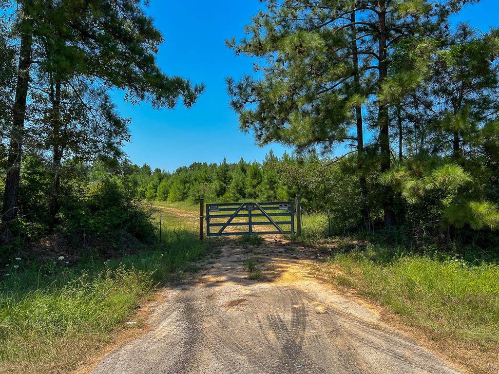 Ace, TX 77351,4 Highway 146