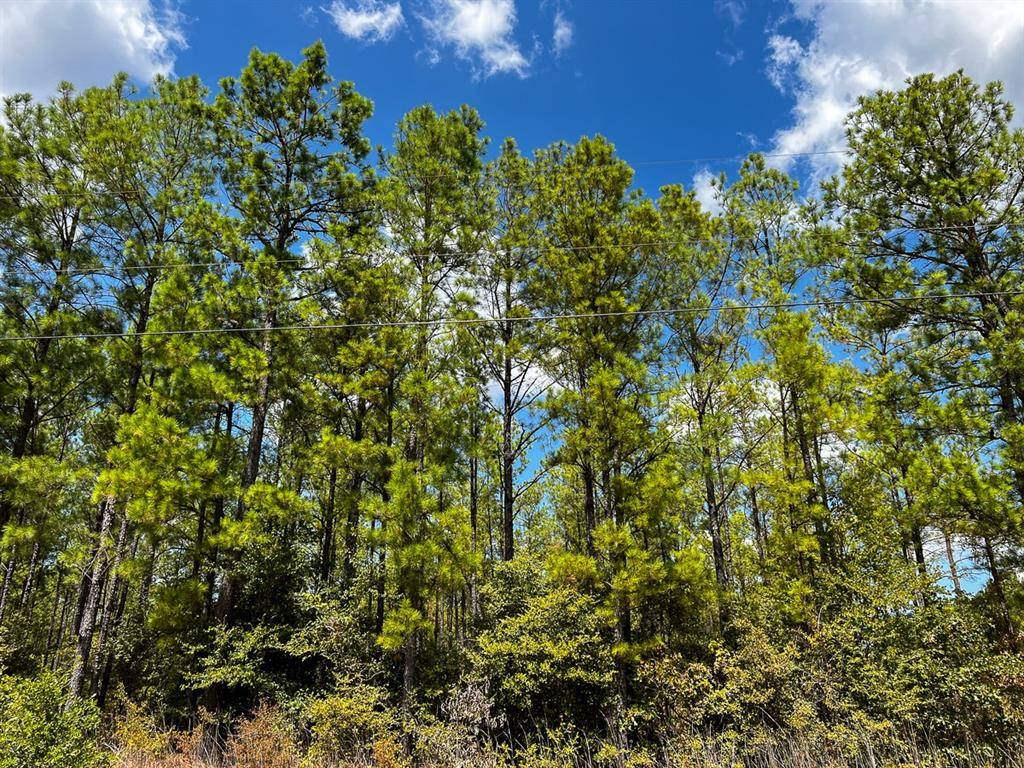 Huntsville, TX 77320,000 Off Lost Indian Camp Road