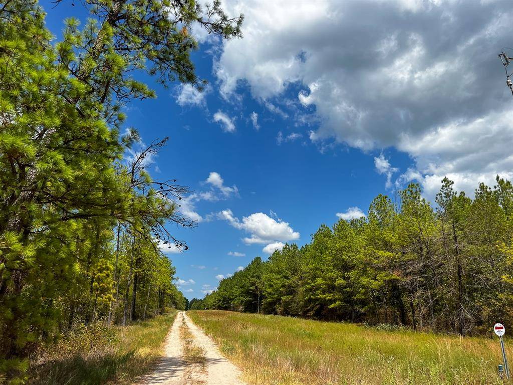 Huntsville, TX 77320,000 Off Lost Indian Camp Road