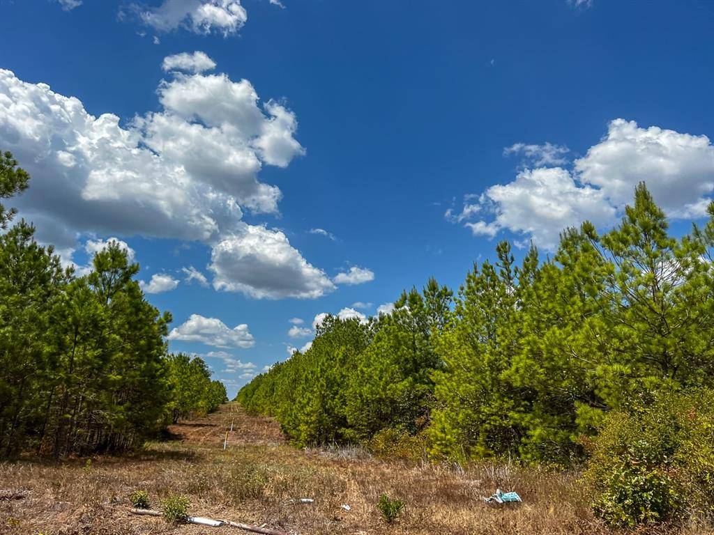 Huntsville, TX 77320,000 Off Lost Indian Camp Road