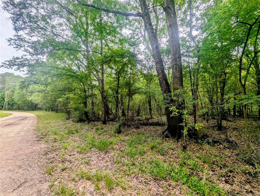 Conroe, TX 77303,TBD Royal Estates DR