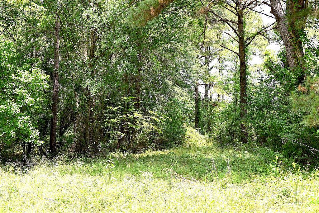 Huntsville, TX 77320,4414 Shady LN