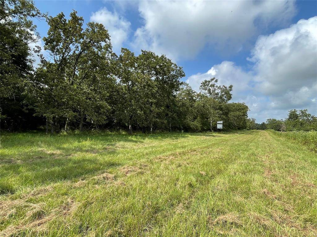 Jewett, TX 75846,TBD TR 1 County Road 321