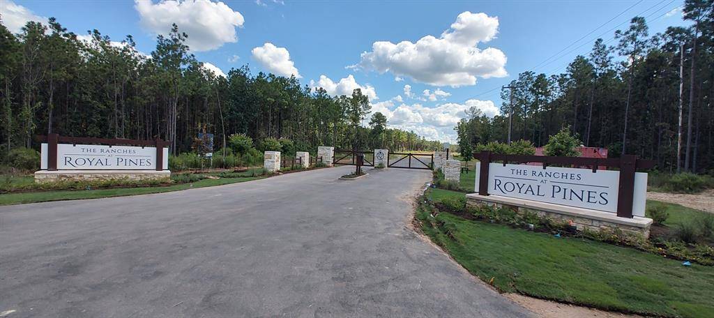 Huntsville, TX 77340,107 Henry Stuart CT