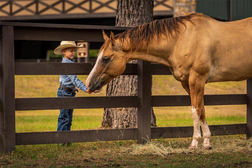 Tomball, TX 77377,61 Willowcreek Ranch