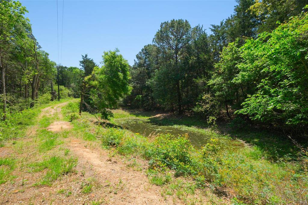 New Ulm, TX 78950,24718 Squirrel RD