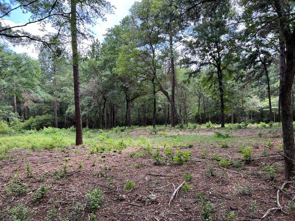 Plantersville, TX 77363,0030 County Road 302