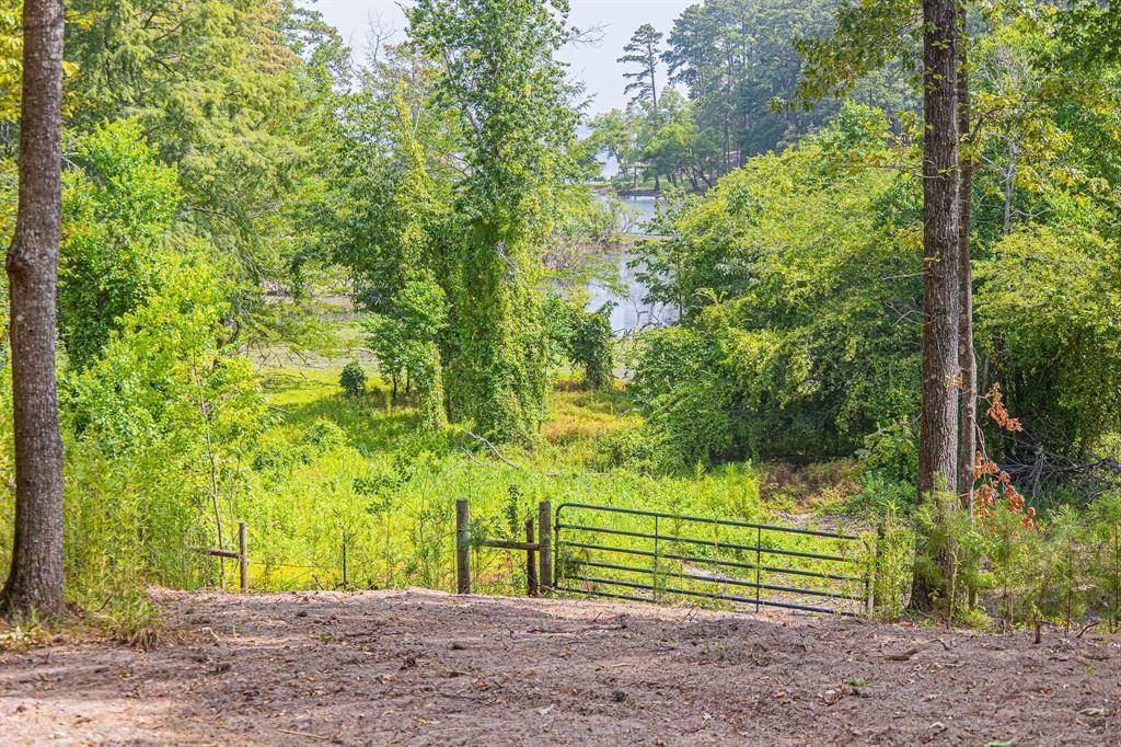 Zavalla, TX 75904,000 Moore Farm RD
