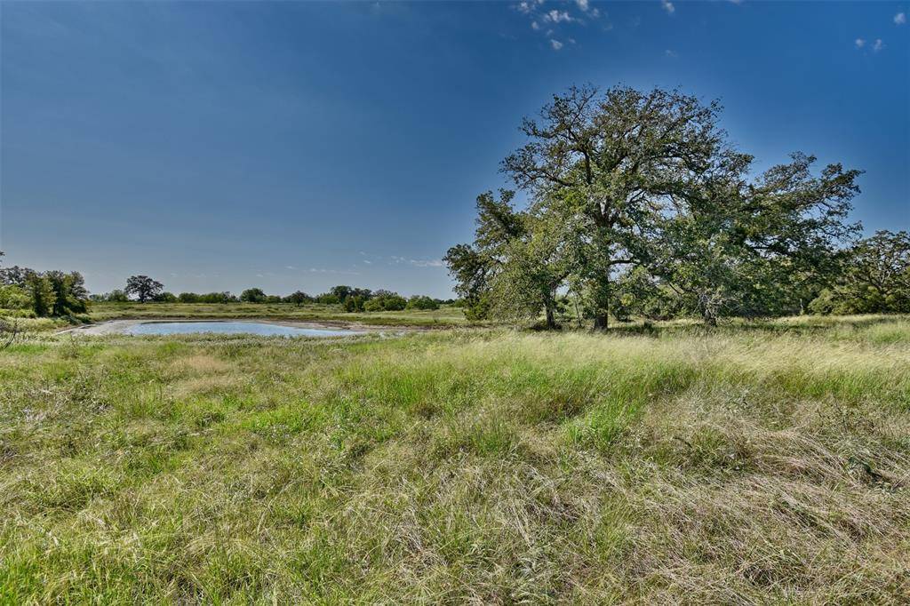 Red Rock, TX 78662,1-19,20 (15.607 acres) Starlight Path