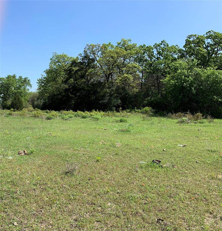 Ledbetter, TX 78946,2231 Greens Creek Rd