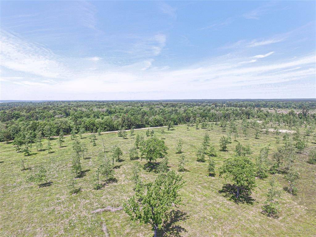 Onalaska, TX 77360,00030 Brushy Creek Ranch Rd