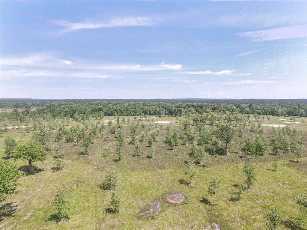 Onalaska, TX 77360,00030 Brushy Creek Ranch Rd